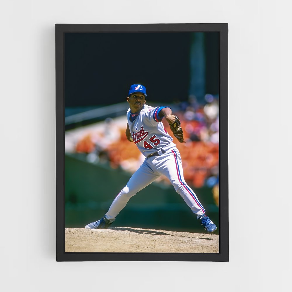 Poster Pedro baseball (vue 2)